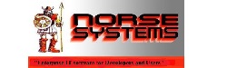 Norse Systems Logo