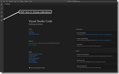 Visual Studio Code Extension